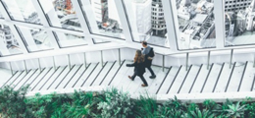 gallery/pexels-photo (2)